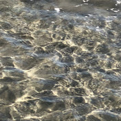 Profile Picture of Kassidy Marzec (@kassidymarzec5301) on Youtube