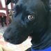 Profile Picture of Rogelio Lazaro (@rogelio.lazaro.1614) on Facebook
