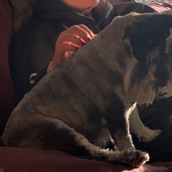 Kelly Brozowski - Poshmark Profile Picture of Kelly Brozowski (@kellybrozowski) on Poshmark