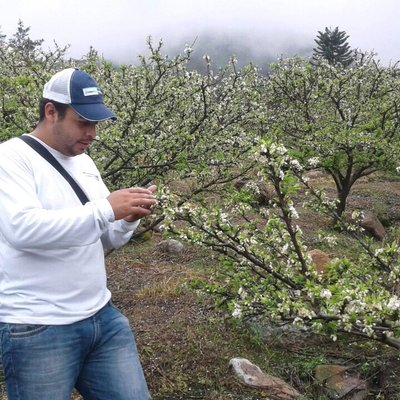 Profile Picture of Alex Didi Negrete (@alexdidi9016) on Twitter