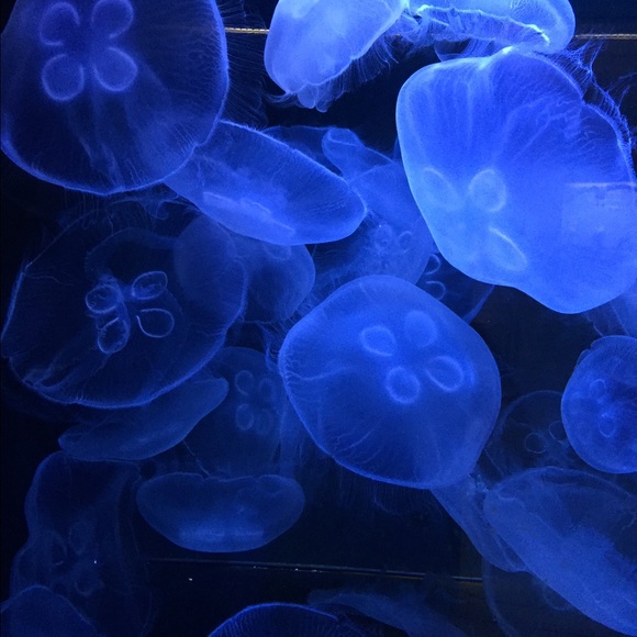 Annmarie Haddeman - Poshmark Profile Picture of Annmarie Haddeman (@annmarierenee) on Poshmark