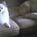 Profile Picture of Fran Peace (@fran.peace.5) on Facebook