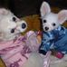 Profile Picture of Dawna Phillips (Dawna Dunbar) (@dawna.phillips.9) on Facebook