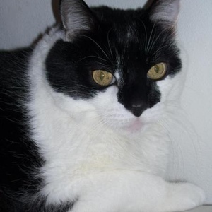 Profile Picture of Joan Johnson Sturm (@doohoot) on Myspace