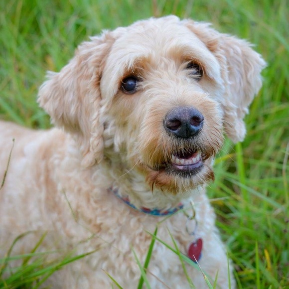 Profile Picture of Jennifer Brintnall (@jaz921a) on Poshmark