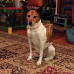 Profile Picture of Tom Wenzel (@tpwenzel) on Instagram