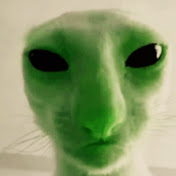 Profile Picture of Adam Godfrey (@AdamGodfrey-rx6kv) on Youtube