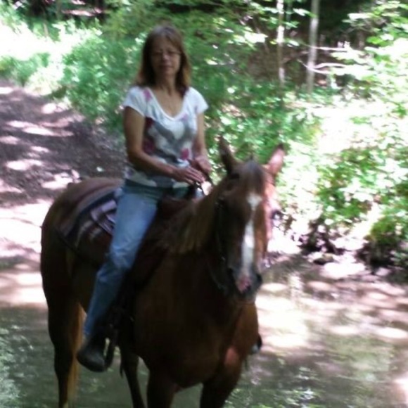 Profile Picture of Patty Grodhaus (@pgrodhaus7) on Poshmark