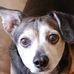 Profile Picture of David Converse (@david.converse.395) on Facebook