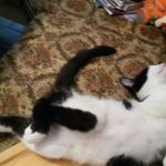 Stephanie Kocher - Instagram Profile Picture of Stephanie Kocher (@kocherstephanie) on Instagram