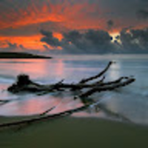 Profile Picture of Lourdes Dawes (@lourdesdawes) on Poshmark