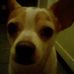 Profile Picture of Lisa Beavin (@lisa.beavin.9) on Facebook