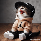 Profile Picture of Anderson Cabrera (@AndersonAldairCabrera) on Youtube