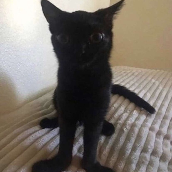 Profile Picture of David Cotton (@daveseakers) on Poshmark