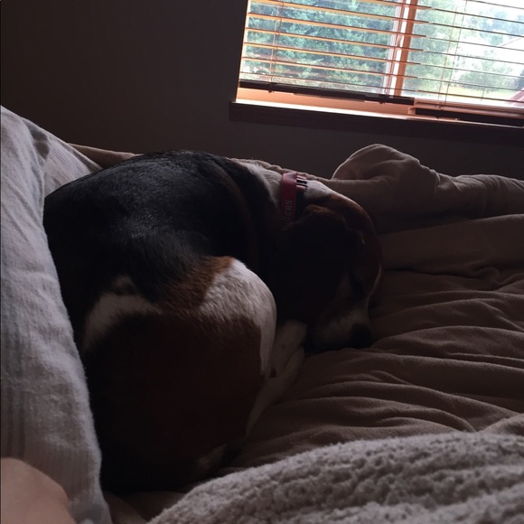 Profile Picture of Jessica Rajek (@andyjessraj) on Poshmark