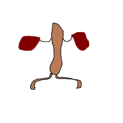 Profile Picture of Jon Berman (@JonBerman4) on Twitter