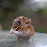 Profile Picture of Aaron Winchell (@aaron-winchell) on Quora