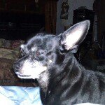 Profile Picture of Shelly Burris (@shraebu91) on Instagram