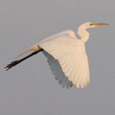 Profile Picture of Mark Hourihan (@mhourihanphoto) on Twitter