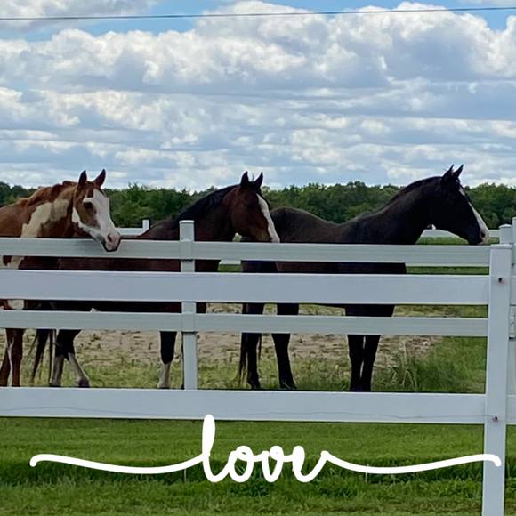 Profile Picture of Dawn Whitty (@dmr_1224) on Poshmark