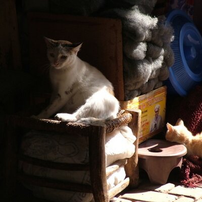 Profile Picture of MAURICE SMITH (@MACSTUG) on Twitter