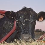 Profile Picture of Brian Behrens (@brian.behrens.5832) on Instagram