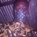 Profile Picture of Preston Marshall (@preston.marshall.754) on Facebook