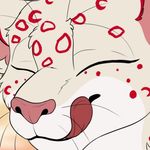 Profile Picture of daniel the furry (@snowleapord44) on Instagram