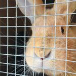 Profile Picture of Gina Leslie (@azlynnmorrison) on Instagram