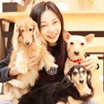 Profile Picture of Sabrina Yeh (@sabrina.yeh966) on Instagram