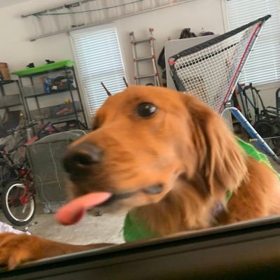 Profile Picture of Michelle Eckert (@michell25097511) on Twitter