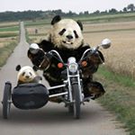 Profile Picture of David Karl (@davidekarl) on Instagram