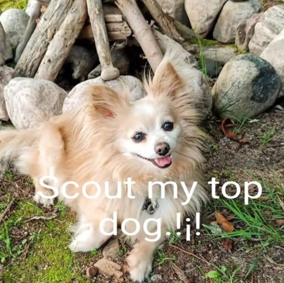 Profile Picture of Tyler Beilby (@tyler_beilby) on Poshmark