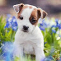 Jaretzy Chavez-alvarez - Quora Profile Picture of Jaretzy Chavez-alvarez (@jaretzy-chavez-alvarez) on Quora