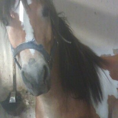 Profile Picture of Amy Baumann (@amybaumann10) on Twitter