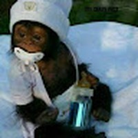 Profile Picture of Harmonie Daniels (@harmonie-daniels) on Quora