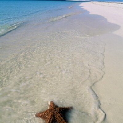 Profile Picture of Corey Mixon (@MixonProperties) on Twitter