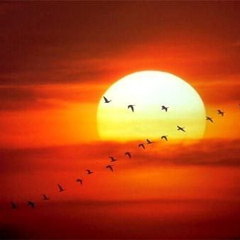 Tony Colmenares - Twitter Profile Picture of Tony Colmenares (@OspinoAvanza) on Twitter