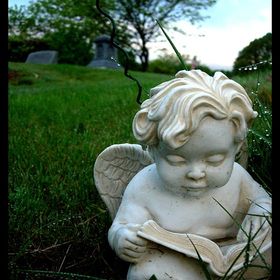 Profile Picture of Chris Stegall (@chrisstegall) on Pinterest
