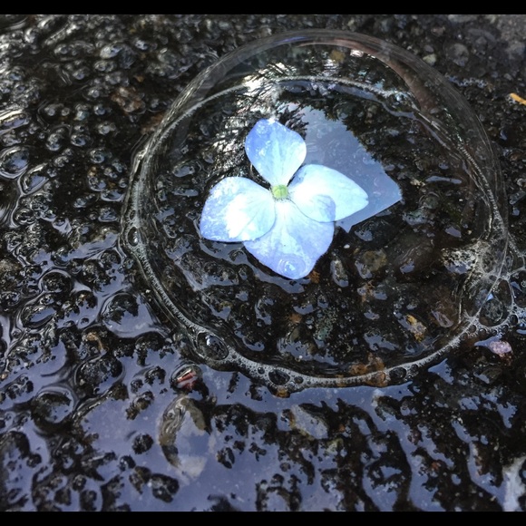 Profile Picture of Mark Bays (@topper926) on Poshmark