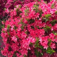 Profile Picture of Jean Davey (@jean-davey-1) on Quora