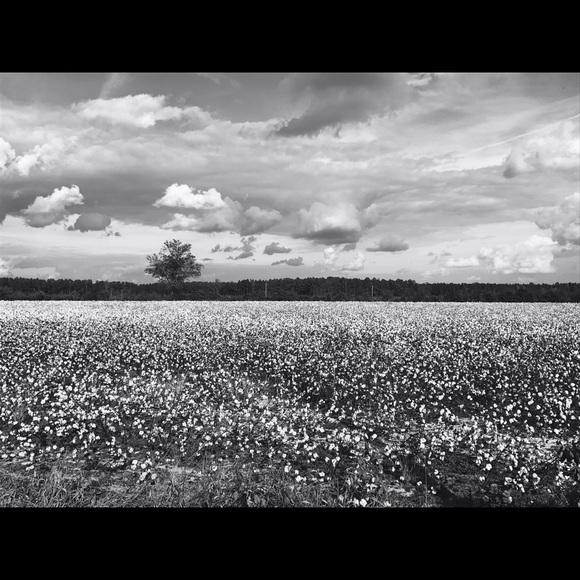 Profile Picture of David Frey (@dafrey1) on Poshmark