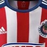 Profile Picture of Gabriel Augusto Cuellar Campos (@gabrielaugustocuellar) on Instagram