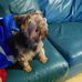 Profile Picture of Thomas Pilcher (@thomas.pilcher.16) on Facebook