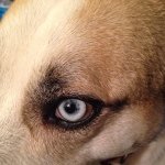 Profile Picture of Michael Pelley (@mppelley) on Instagram