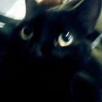 Profile Picture of Luz Mery Moncada Rodriguez (@luzmerymoncadarodriguez) on Instagram