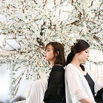 Profile Picture of Ngọc Trinh Cassyeueels (@cassyeueels) on Flickr