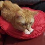 Profile Picture of Benjamin Becher (@benjamin.becher.792) on Instagram