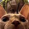 Profile Picture of Connor Corrigan (@@cc_was_here24) on Tiktok