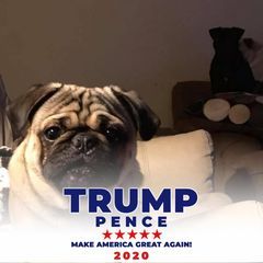 Profile Picture of Kevin Long (@kevin.long25) on Tiktok